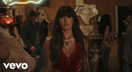 She's From Texas I Can Tell By The Way Lyrics