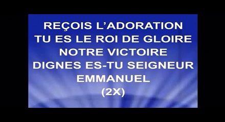 Recois L'adoration Tu Es Le Roi De Gloire Lyrics