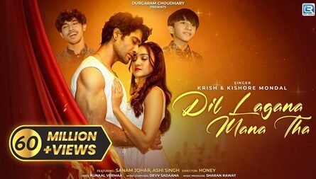 Humne Dil Lagaya Jaha Dil Lagana Mana Tha Lyrics