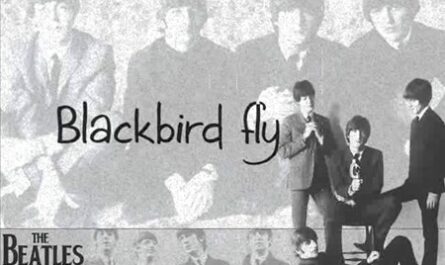 Blackbird Singing In The Dead Of Night