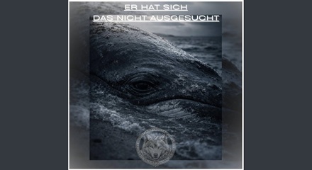 Er Hat Sich Das Nicht Ausgesucht Lyrics